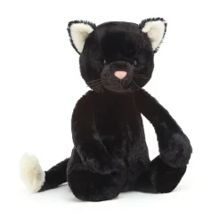 Bashful Black Kitten