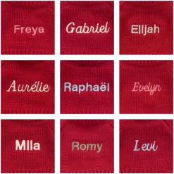 Bashful Fudge Puppy with Personalised Red Jumper