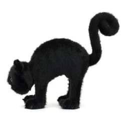 Spookipaws Cat